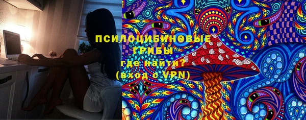 бутират Пролетарск