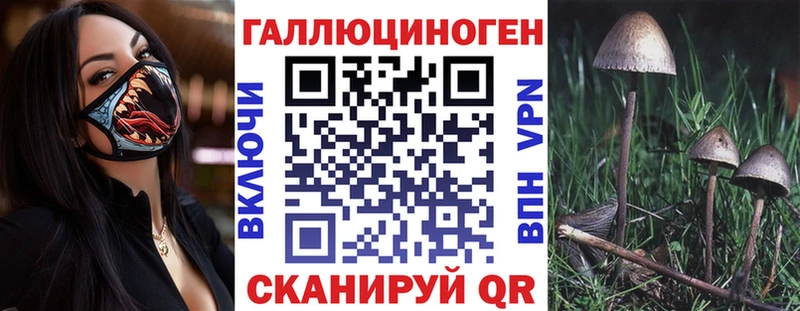 купить наркотики сайты  Калязин  Псилоцибиновые грибы мицелий 